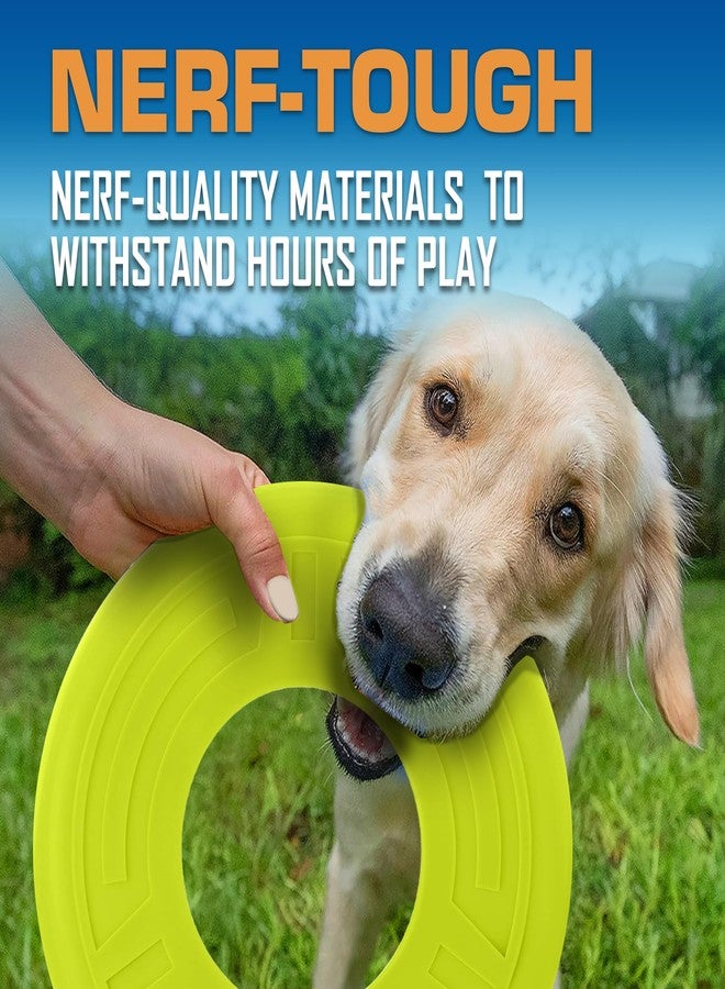 Nerf Dog Atomic Flyer Outdoor Dog Toy, 10 Inch Flying Disc Dog Fetch Toy, Rubber Dog Toy for Medium Dogs and Large Dogs, Green - Image 4